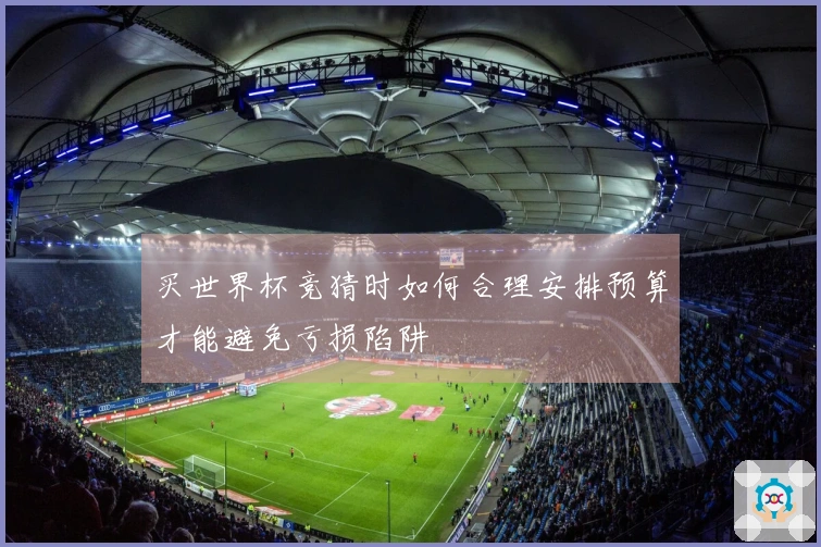 买世界杯竞猜时如何合理安排预算才能避免亏损陷阱