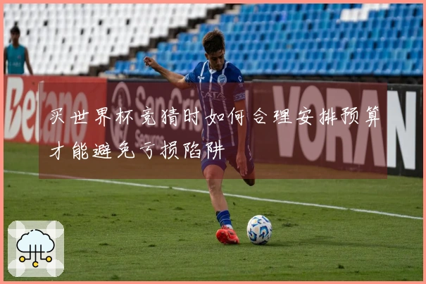 买世界杯竞猜时如何合理安排预算才能避免亏损陷阱